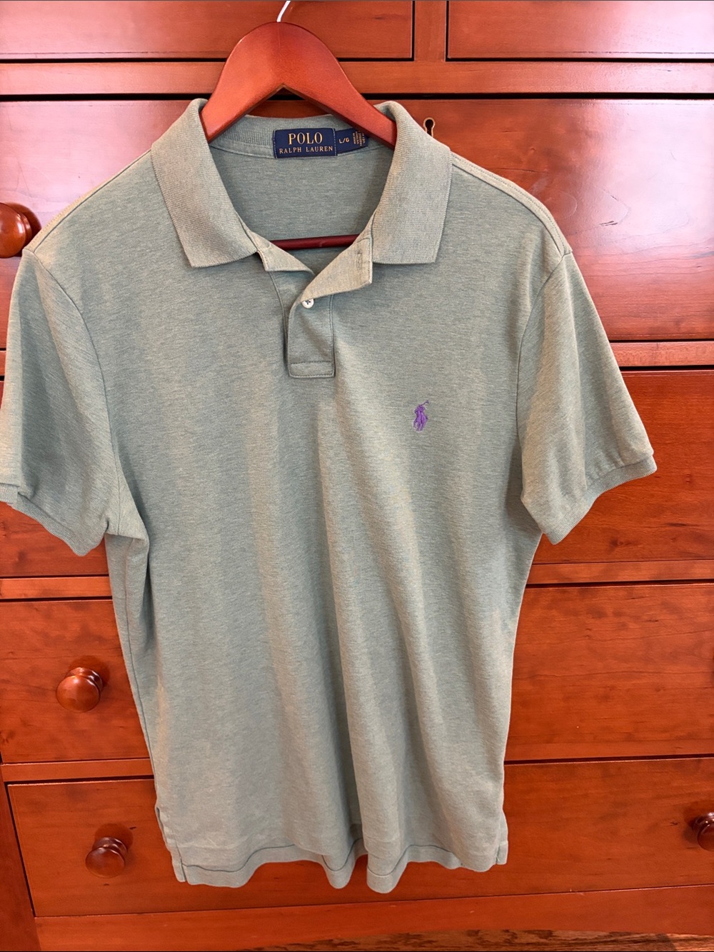 Polo by Ralph Lauren Men's Sage Green Polo with Purple Pony